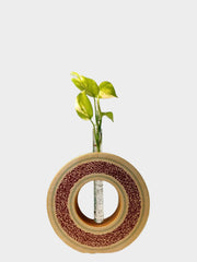 IMG_20250303_201243_686