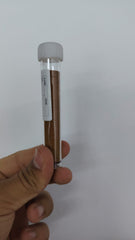 غذاء أسماك الزينة – أرتميا مفقسة