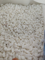 أرضية أحواض الأسماك �