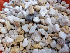 أرضية أحواض الأسماك