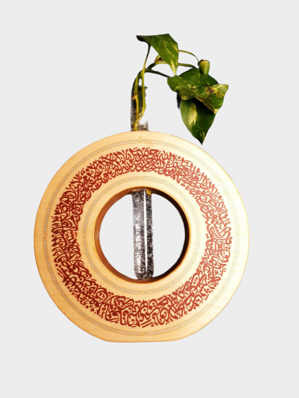 IMG_20250301_204156_875