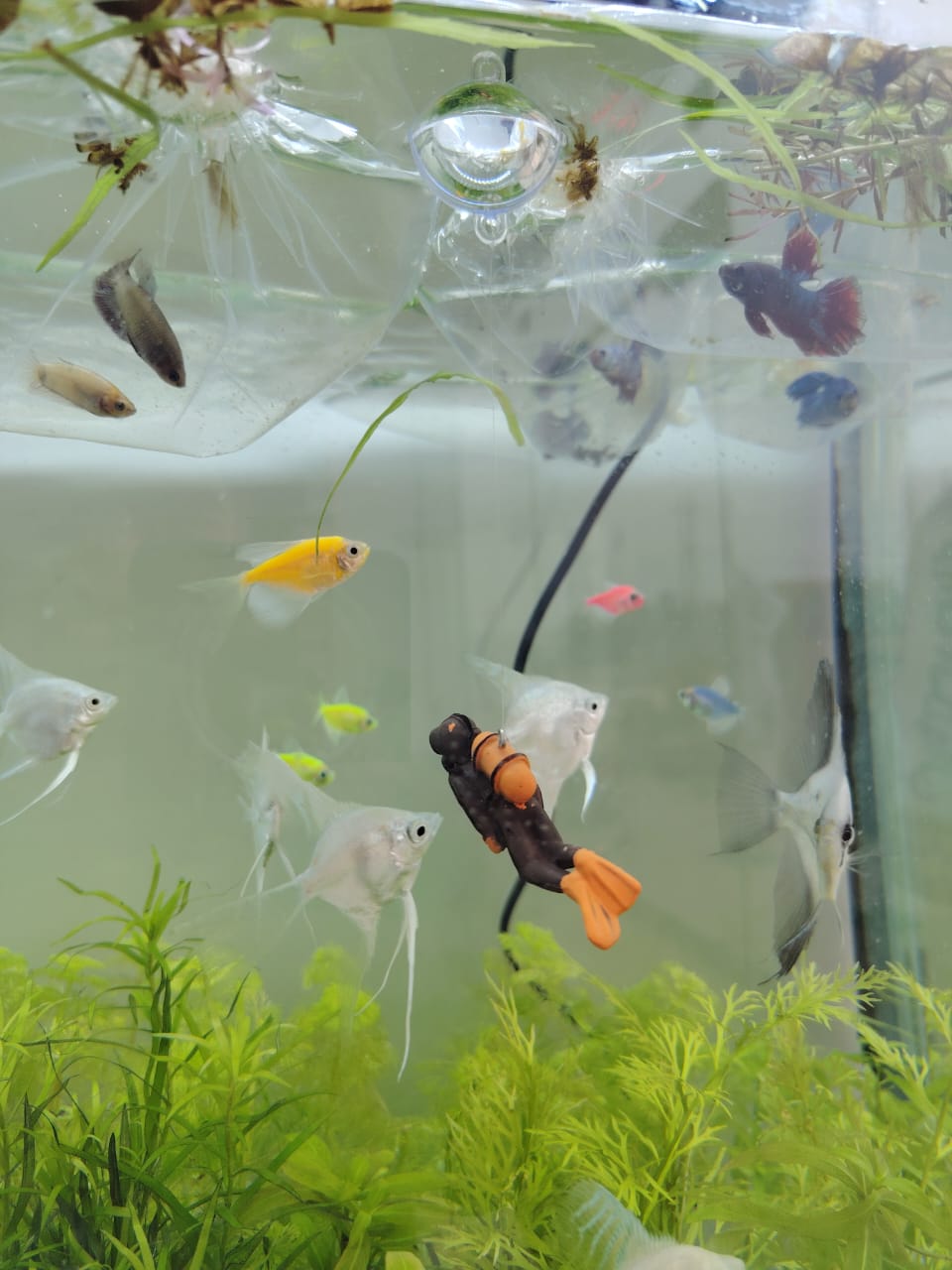 زينة غواص داخل الماء مع فقاعة وخيط شفاف قابل للتحكم في الارتفاع