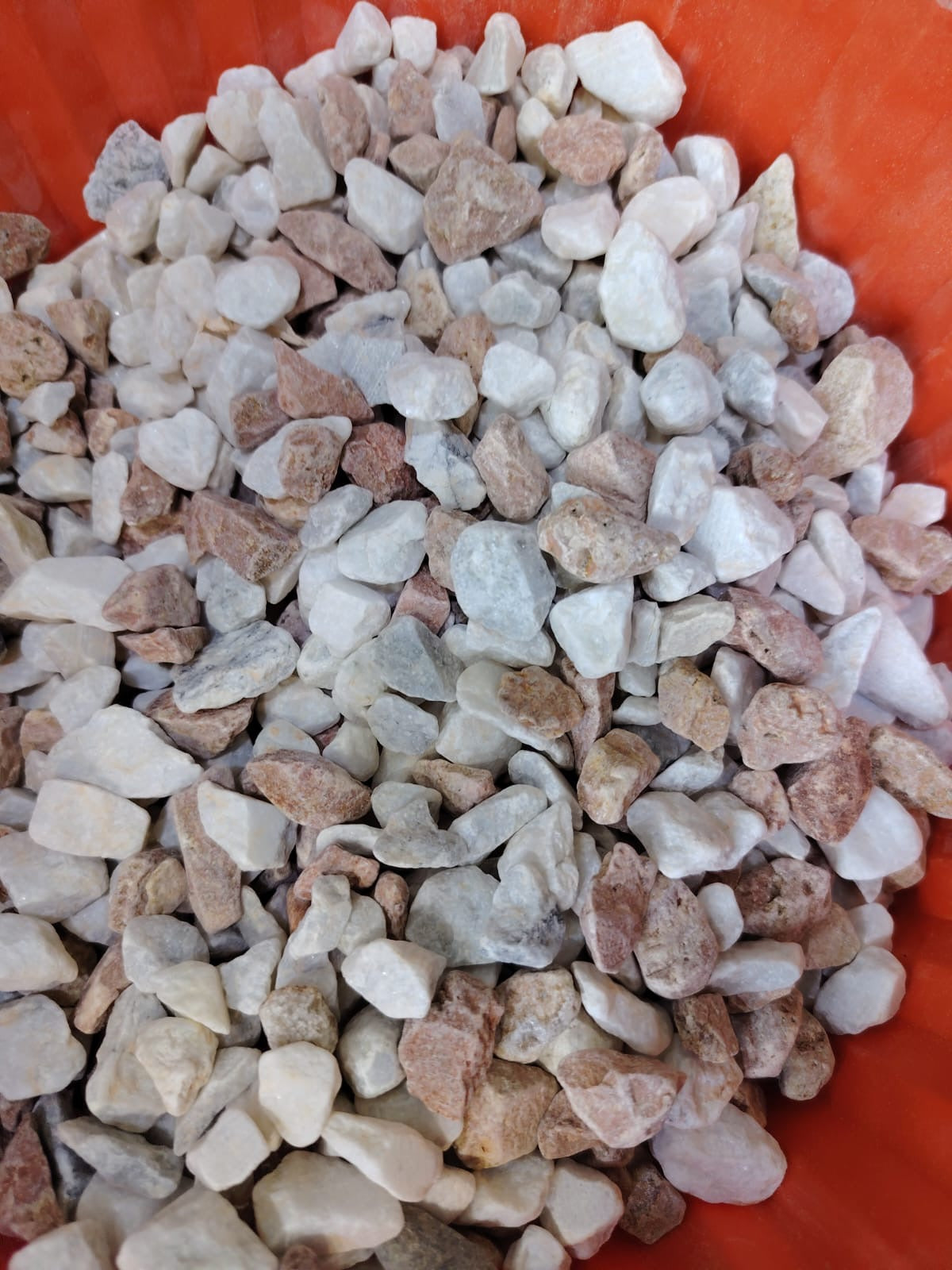 أرضية أحواض الأسماك