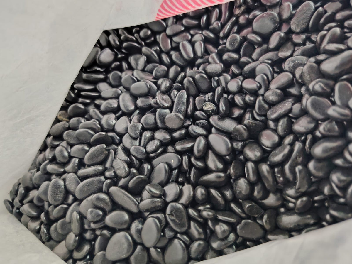 أرضية أحواض الأسماك �