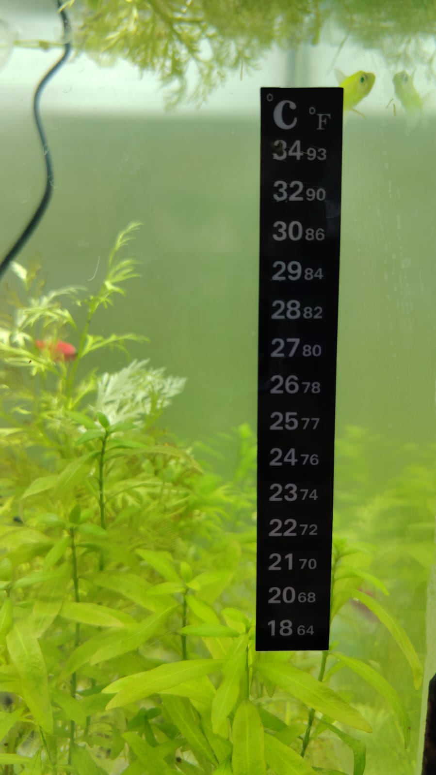 محرار لاصق طولي