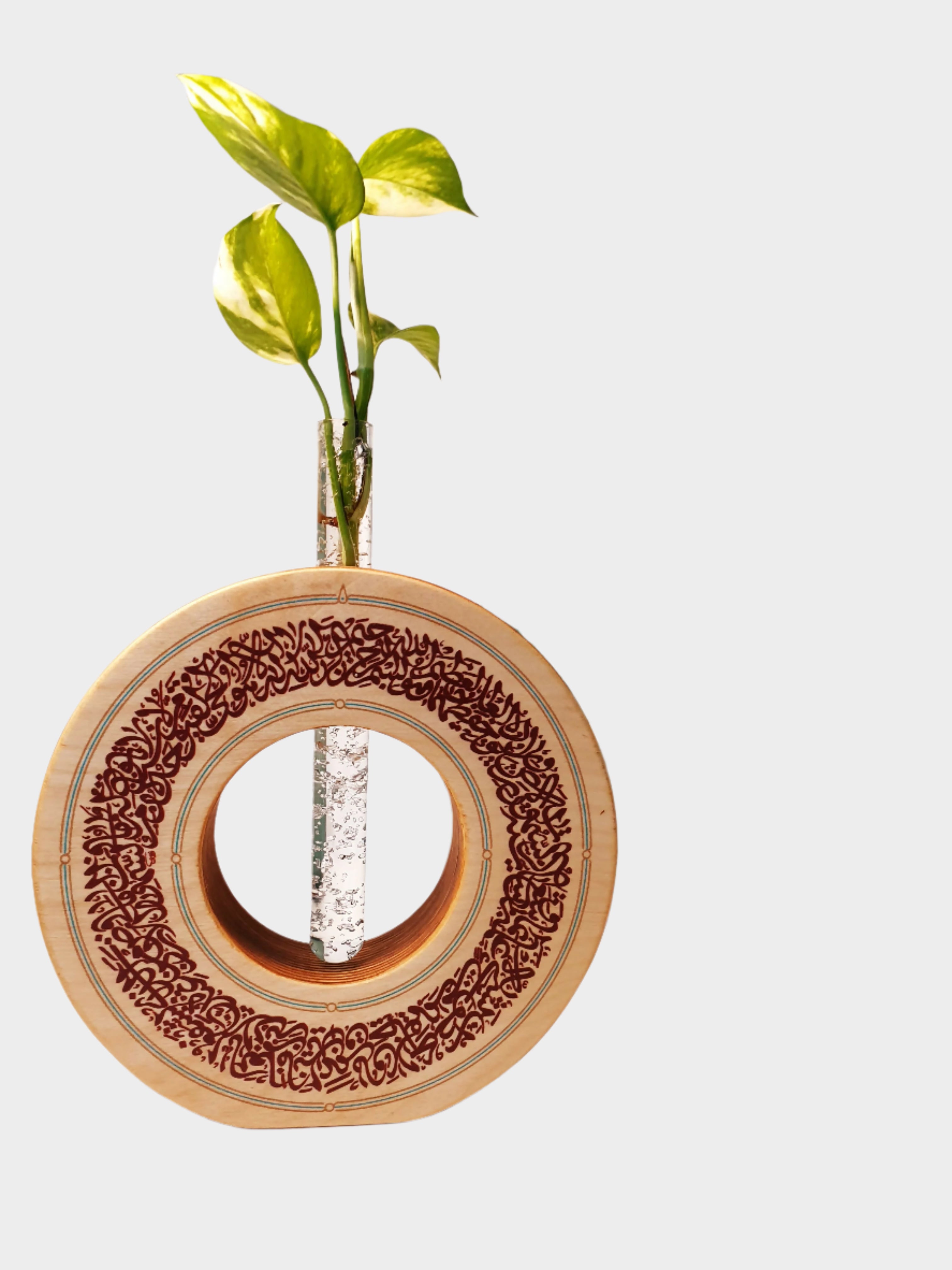 IMG_20241223_160629_689