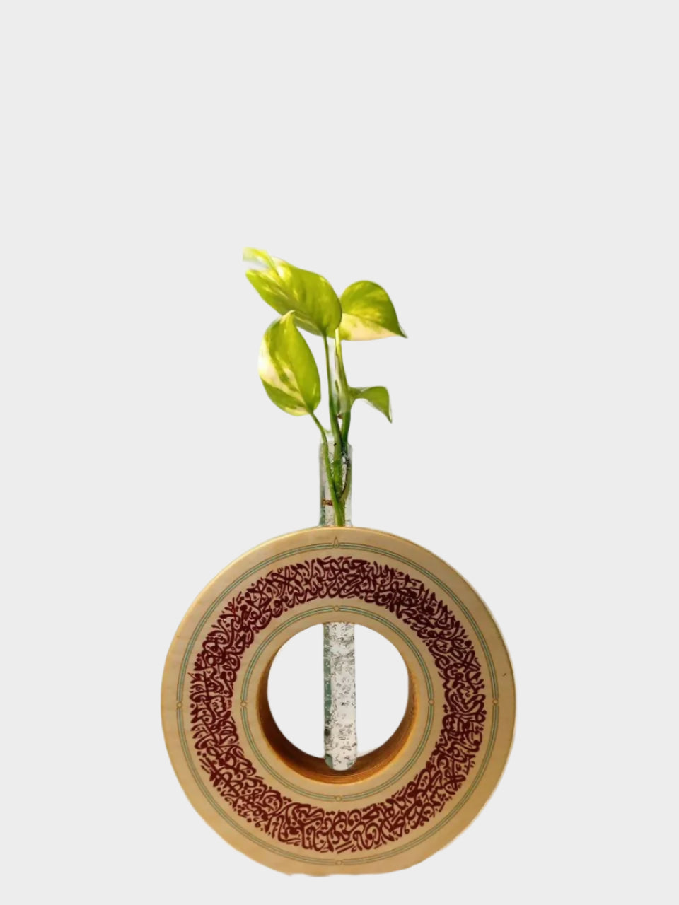 IMG_20250303_201243_686